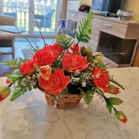 Gaestehaus Heuer 公寓 *